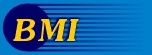 BMI (Body Mass Index)